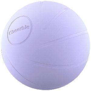 Cheerble Wickedball PE Purple